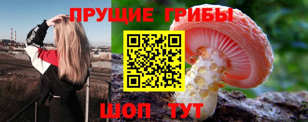 Псилоцибиновые грибы ЛСД  Галлюциногенные грибы Psilocybine cubensis  продажа наркотиков  Россошь  Вход с VPN 